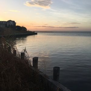 Meet your Posher, Lynn